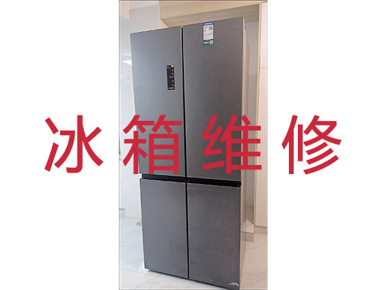 襄阳专业冰箱冰柜安装